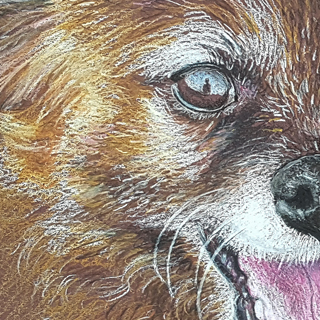 Zulu